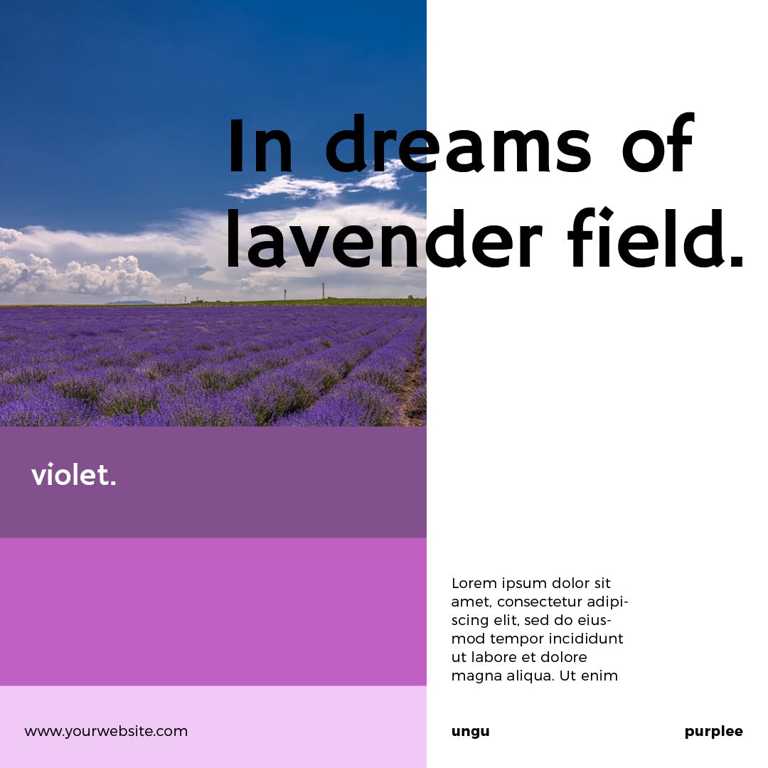 薰衣草配色社交媒体广告Banner图设计模板第一素材精选 Lavender Social Media Banners插图(2)
