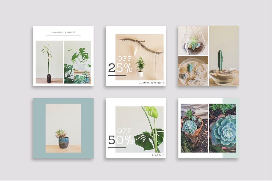 植物盆栽主题社交媒体贴图模板第一素材精选[Pinterest版本] NATURALIS Pinterest Pack插图(6)