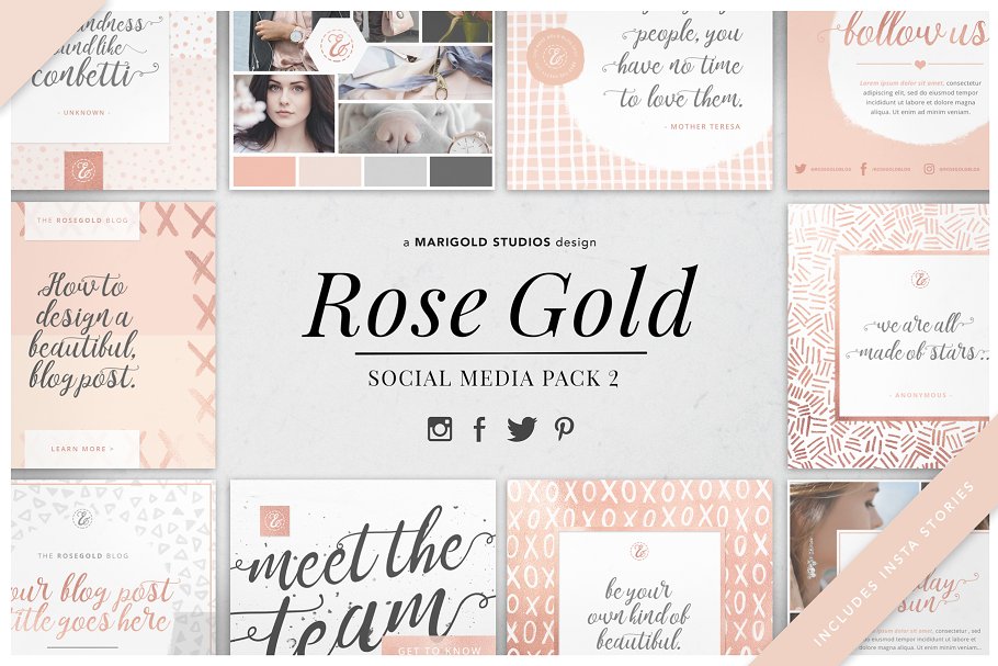 女性化社交媒体贴图模板第一素材精选 ROSE GOLD | Social Media Pack 2插图
