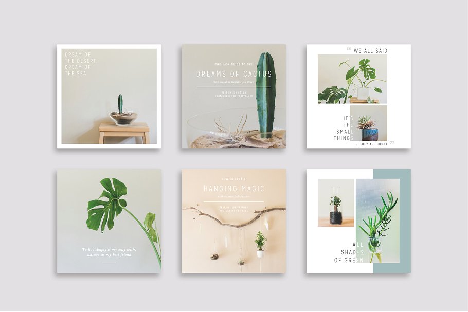 植物盆栽主题社交媒体贴图模板第一素材精选[Instagram版本] NATURALIS Instagram Pack插图(5)