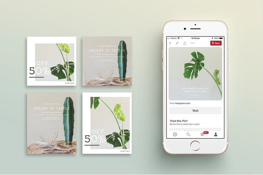植物盆栽主题社交媒体贴图模板第一素材精选[Pinterest版本] NATURALIS Pinterest Pack插图(1)