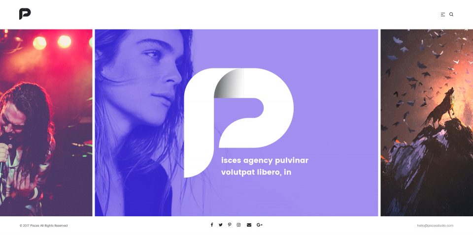 高质量网站全套 PSD 模板蚂蚁素材精选 Pisces-Multi Concept PSD Template插图(37)