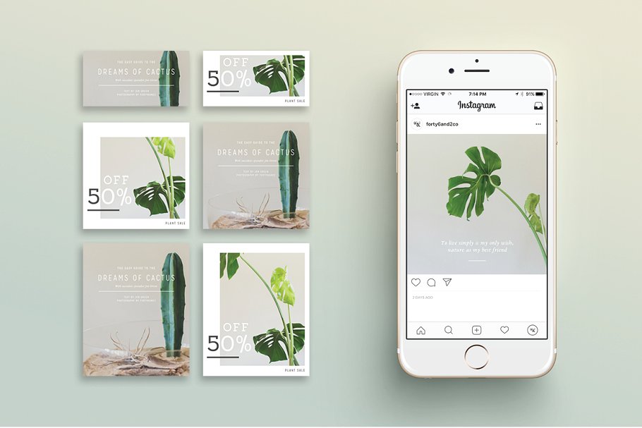 大自然植物之美社交媒体贴图素材包 NATURALIS  Social Media BUNDLE插图(1)