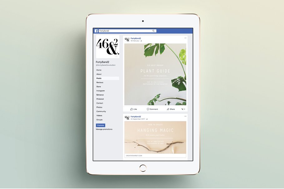 简约现代风格 Facebook 贴图模板蚂蚁素材精选 NATURALIS Facebook Pack插图(7)