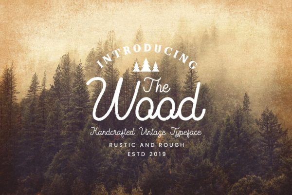 Monoline复古设计风格英文书法字体 The Wood – Vintage Monoline Script