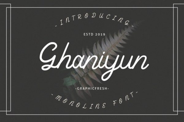 Monoline风格英文书法字体 Ghaniyun Monoline Font缩略图 Monoline风格英文书法字体 Ghaniyun Monoline Font