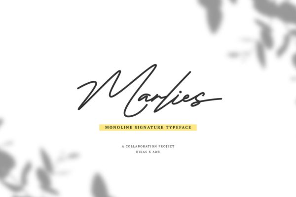 Monoline风格英文钢笔签名字体 Marlies Monoline Signature缩略图 Monoline风格英文钢笔签名字体 Marlies Monoline Signature