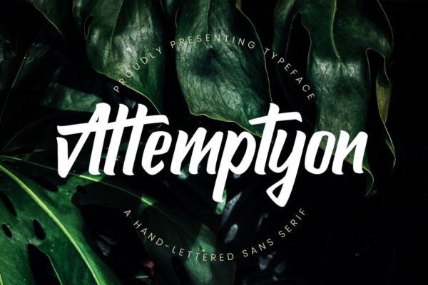 优雅大气手写无衬线字体 Attemptyon Sans Serif Typeface
