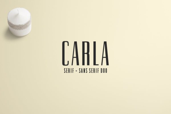 现代独特无衬线&衬线设计字体Carla系列 Carla Duo Font Family Pack缩略图 现代独特无衬线&衬线设计字体Carla系列 Carla Duo Font Family Pack