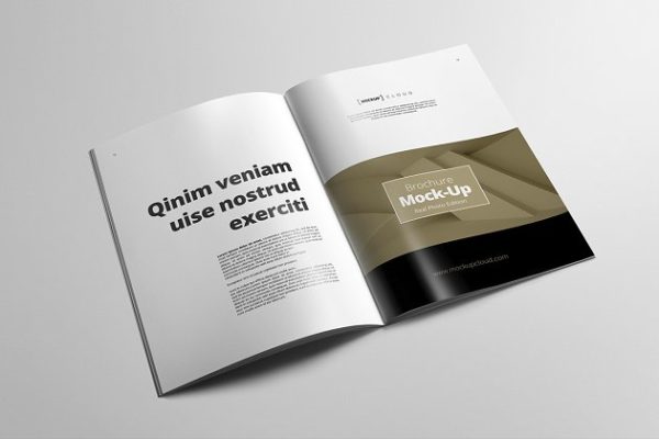 A4规格小册子说明书样机模板 Brochure Mock-Up / A4 Portrait缩略图 A4规格小册子说明书样机模板 Brochure Mock-Up / A4 Portrait