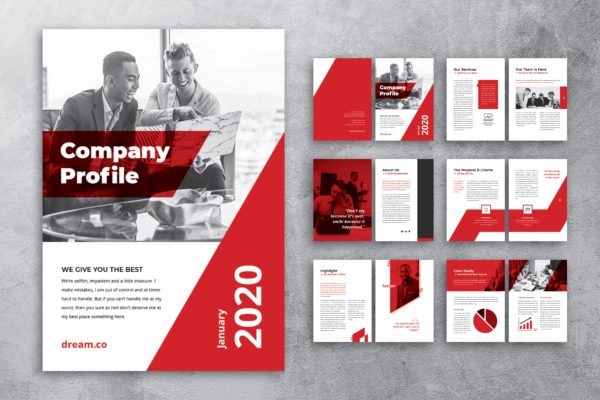 企业成功案例/企业简介画册设计模板 Company Profile缩略图 企业成功案例/企业简介画册设计模板 Company Profile