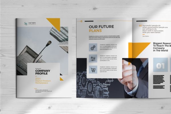高逼格即拿即用企业介绍/宣传画册设计模板 Company Profile Template