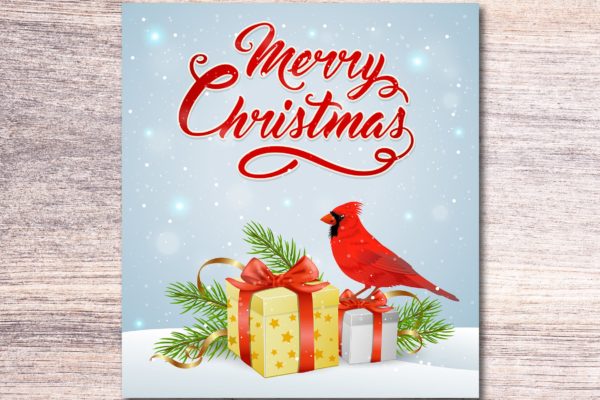 礼物&红雀矢量手绘圣诞节贺卡设计模板 Christmas Gift and Cardinal Bird
