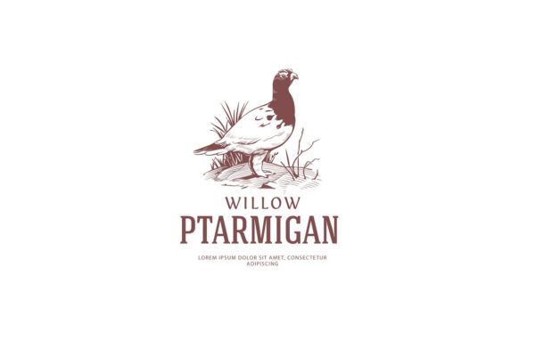 复古鸟图形Logo模板 Vintage Bird Logo