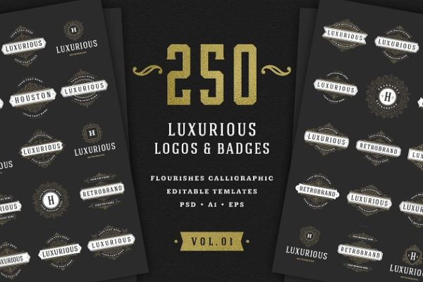 250款字母饰品组合装饰Logo模板 250 ornaments logos & monograms