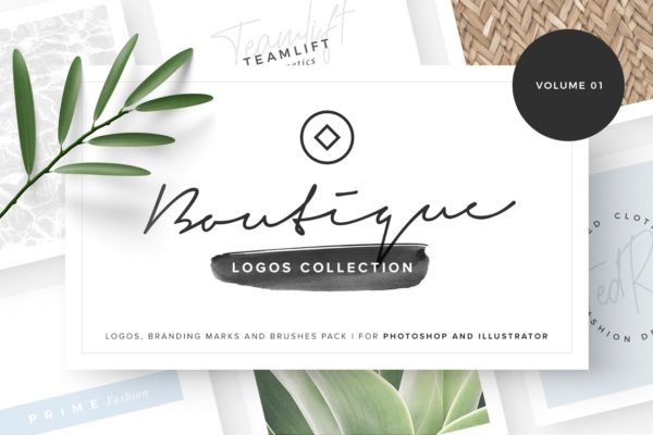 优雅现代标志模板工具合集V1 Boutique Logos – Volume 01缩略图 优雅现代标志模板工具合集V1 Boutique Logos – Volume 01