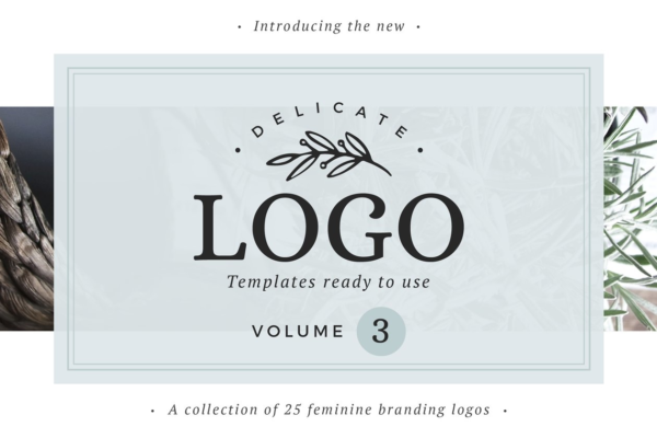 商标设计模板素材 Delicate Logos – Volume 03缩略图 商标设计模板素材 Delicate Logos – Volume 03