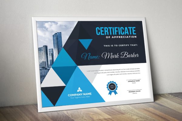 品牌销售代理/资格认证证书设计模板 Certificate缩略图 品牌销售代理/资格认证证书设计模板 Certificate