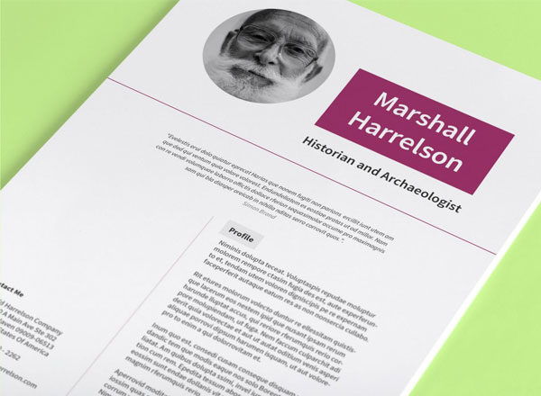 历史学家（历史相关职业）简历模板 Free Resume CV InDesign Template, Historian Edition