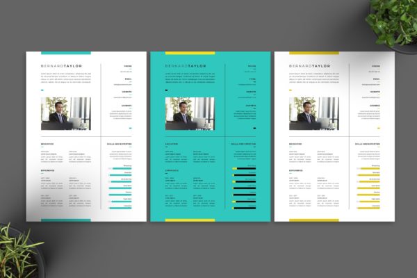 实用质朴设计风格个人应聘简历设计模板v13 Resume Vol.13