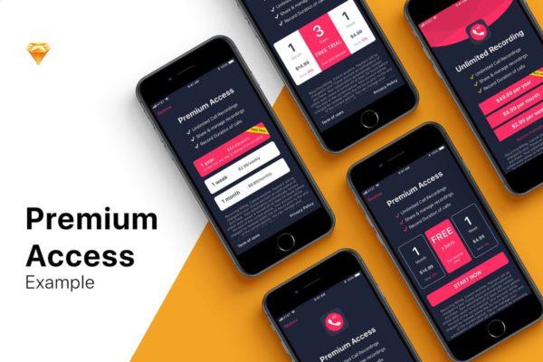 订阅类产品服务APP界面设计UI模板v2 5 Example for Premium Access缩略图 订阅类产品服务APP界面设计UI模板v2 5 Example for Premium Access