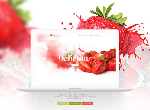草莓主题网页模版 Product Landing Template – Strawberry缩略图 草莓主题网页模版 Product Landing Template – Strawberry