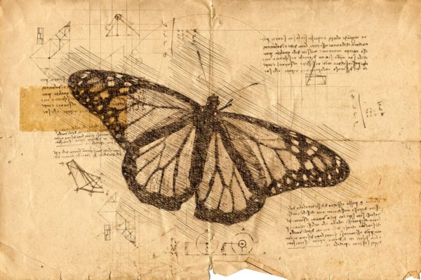 达芬奇素描效果一键生成PS动作 Da Vinci Sketch Photoshop Action