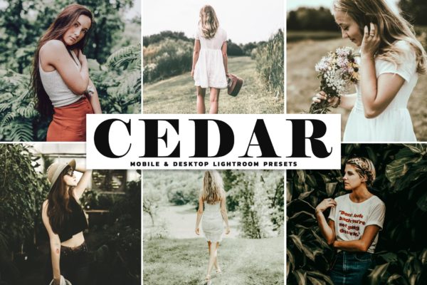 户外摄影图片暖调色滤镜LR预设下载 Cedar Mobile & Desktop Lightroom Presets缩略图 户外摄影图片暖调色滤镜LR预设下载 Cedar Mobile & Desktop Lightroom Presets