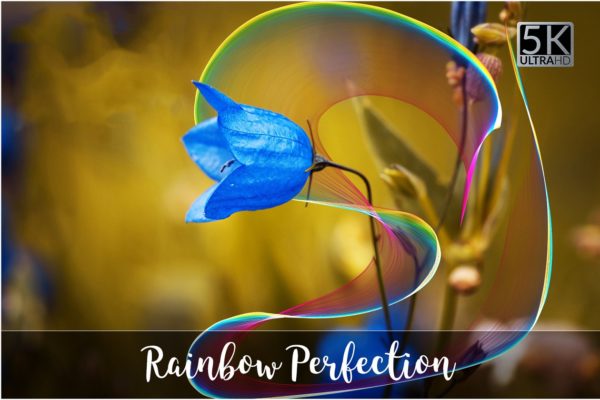 5K高清高分辨率彩虹叠层背景 5K Rainbow Perfection Overlays