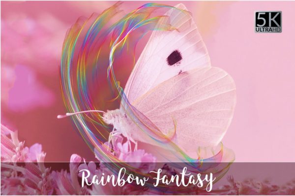 5K分辨率彩虹的幻想叠层背景 5K Rainbow Fantasy Overlays缩略图 5K分辨率彩虹的幻想叠层背景 5K Rainbow Fantasy Overlays