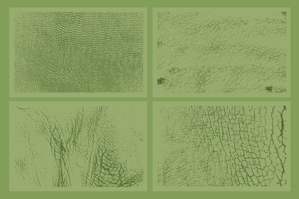 20种动物皮肤纹理 20 Animal Skins Textures – VES11缩略图 20种动物皮肤纹理 20 Animal Skins Textures – VES11