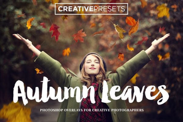 秋季枫叶落叶叠层背景 Falling Leaves Overlays