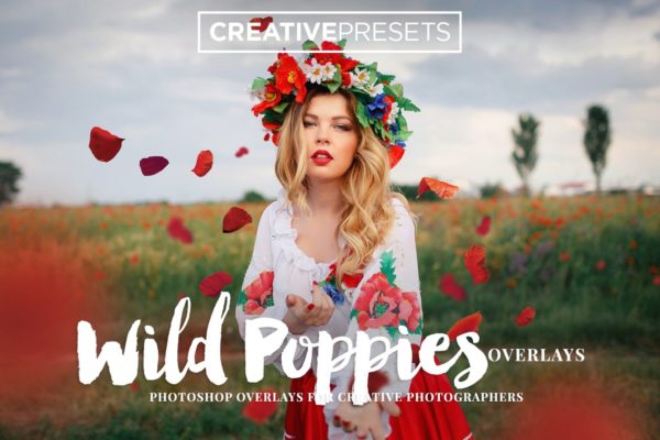 浪漫野生罂粟叶照片处理叠层 Wild Poppies Photo Overlays