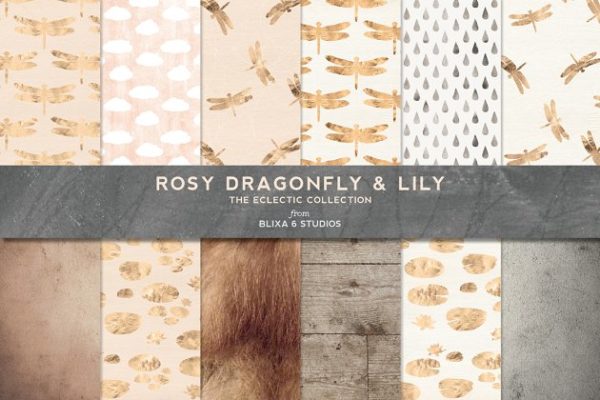 金色蜻蜓图案及装饰纹理 Golden Dragonfly Patterns & Textures