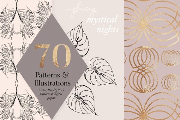 植物与几何图案纹理 Exotic Plants & Geometric Patterns