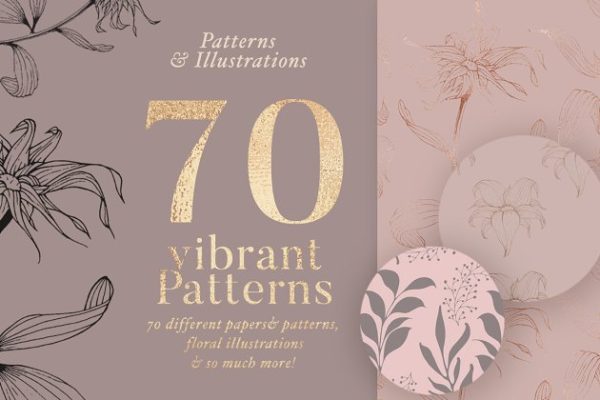 插画&黄金数字纸张图案纹理 Illustrations & Gold Digital Papers