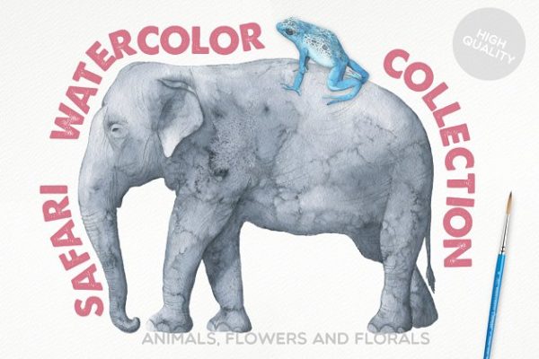 冒险之旅水彩素材合集(飞禽走兽、昆虫元素、纹理&额外的字体) Safari Watercolor Collection Pro缩略图 冒险之旅水彩素材合集(飞禽走兽、昆虫元素、纹理&额外的字体) Safari Watercolor Collection Pro