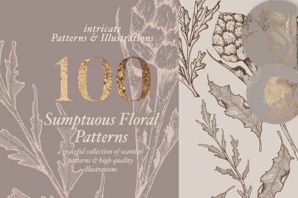 超高清分辨率花卉图案与插图 Floral Patterns & Illustrations [2.19GB]