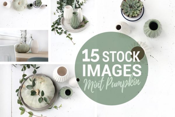 绿色盆栽植物纹理 Mint pumpkin, Styled stock photos缩略图 绿色盆栽植物纹理 Mint pumpkin, Styled stock photos