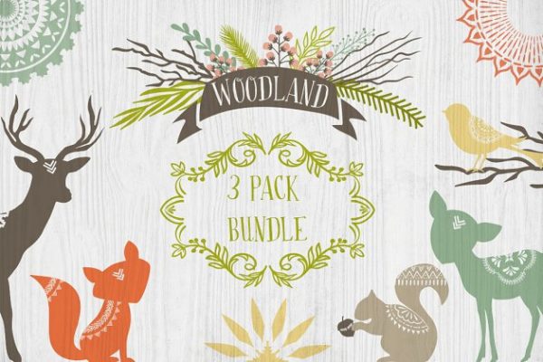 自然森林部落主题设计元素 Woodland Graphics Wreaths & Patterns缩略图 自然森林部落主题设计元素 Woodland Graphics Wreaths & Patterns