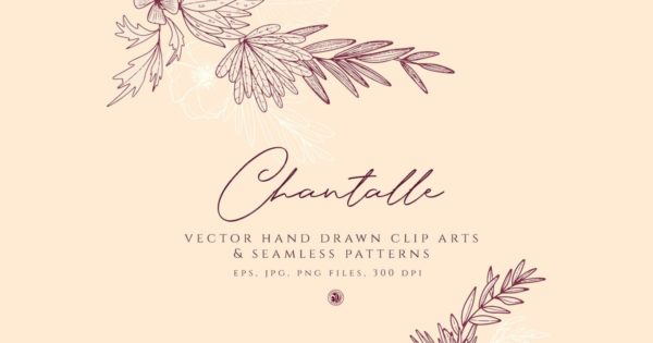 矢量手绘剪贴画＆无缝图案纹理素材 Chantalle Flowers