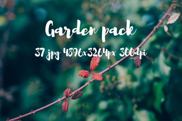 花园花卉植物高清照片素材 Garden photo Pack III缩略图 花园花卉植物高清照片素材 Garden photo Pack III