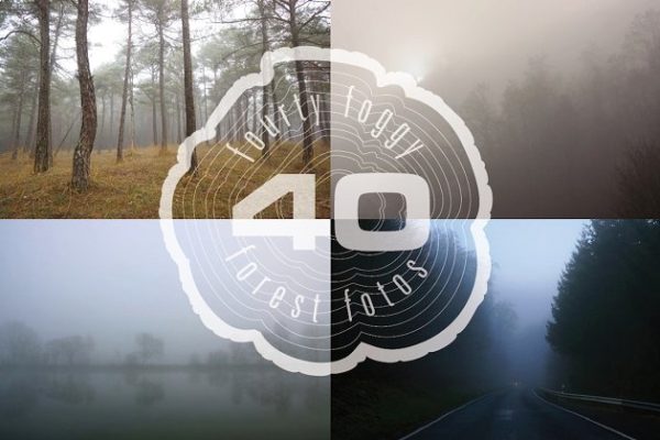 迷雾森林高清照片素材 Foggy Forest Photo Pack缩略图 迷雾森林高清照片素材 Foggy Forest Photo Pack