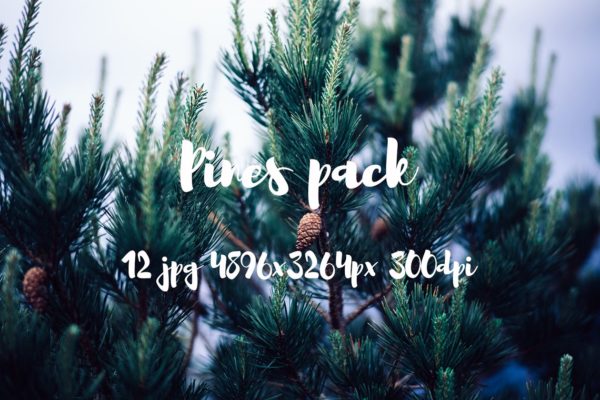 高清松树林照片素材包 Pines photo pack缩略图 高清松树林照片素材包 Pines photo pack