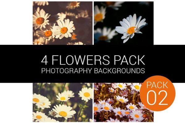 百色小雏菊花束背景图案Vol.2  Flower Pack 02