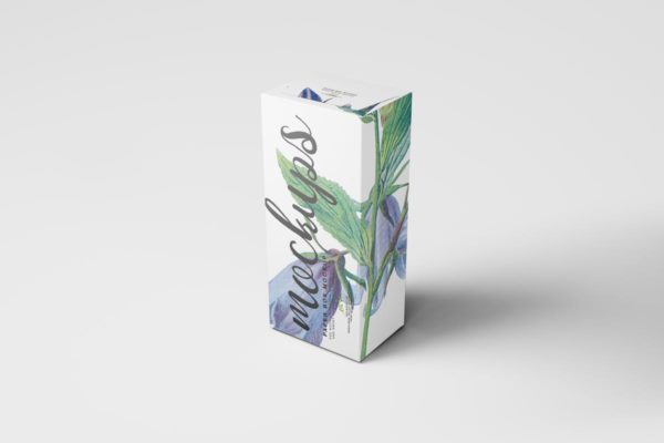 纸盒包装外观设计样机模板14 Paper Box Mockup 14