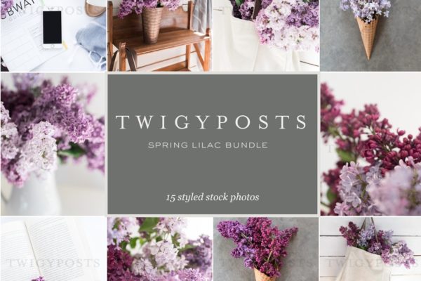 春天丁香花场景样机 Spring Lilac Stock Photos缩略图 春天丁香花场景样机 Spring Lilac Stock Photos