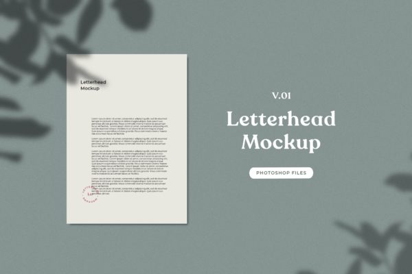 企业信纸信头设计展示植物阴影背景样机v01 ADL – Letterhead Mockup.v01缩略图 企业信纸信头设计展示植物阴影背景样机v01 ADL – Letterhead Mockup.v01