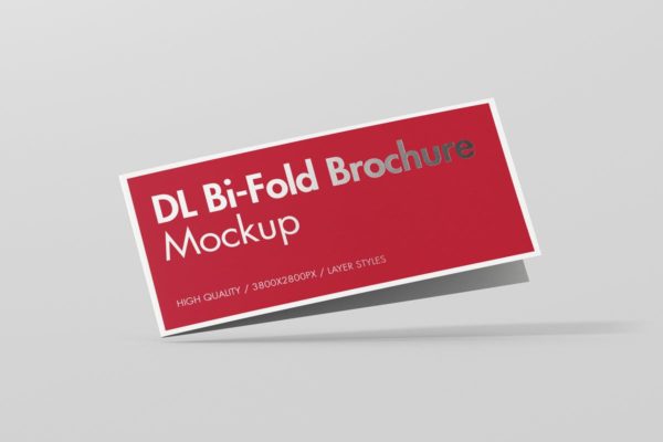 两折页对折页小册子样机 DL Bi-Fold Brochure Mock-Up