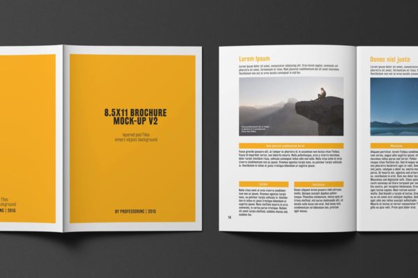 企业商务画册/目录样机 8.5×11 Brochure / Catalogue Mock-up缩略图 企业商务画册/目录样机 8.5×11 Brochure / Catalogue Mock-up